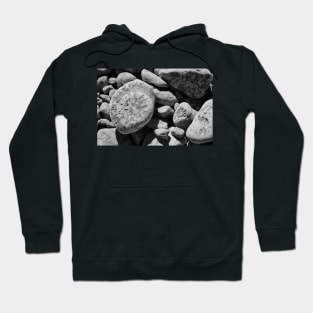 Fossils in Black and White Hoodie